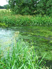 Chalk stream